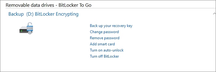 Encrypted Device using BitLocker