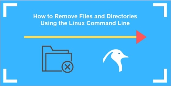 how to delete a file in Linux