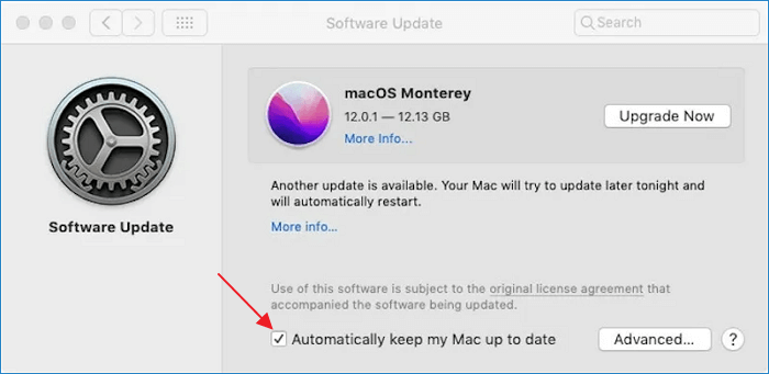 Enable automatic macOS update