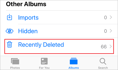 recover deleted files from iPhone manually