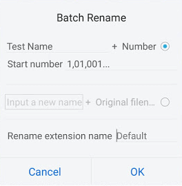 rename file extension manually