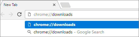 Restore deleted Chrome downloads.