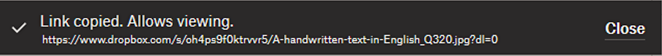 link copied an allows viewing