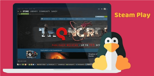 Play Steam games on Linux